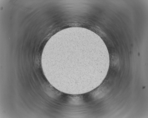 X0000064750370200603131349