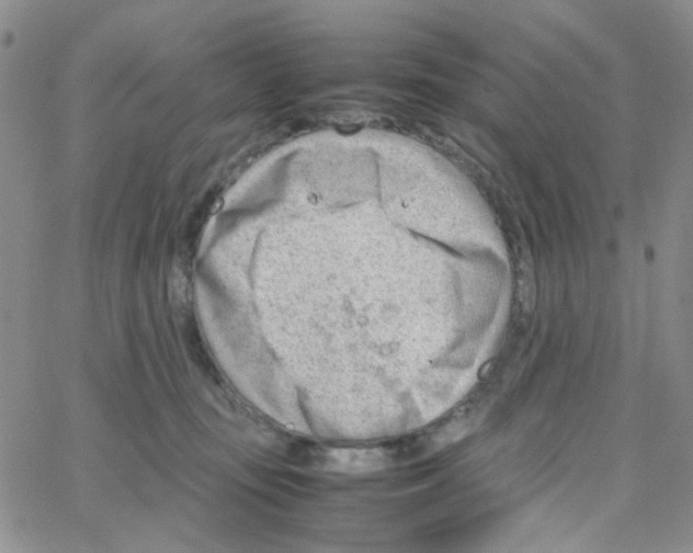 X0000064750371200603131349