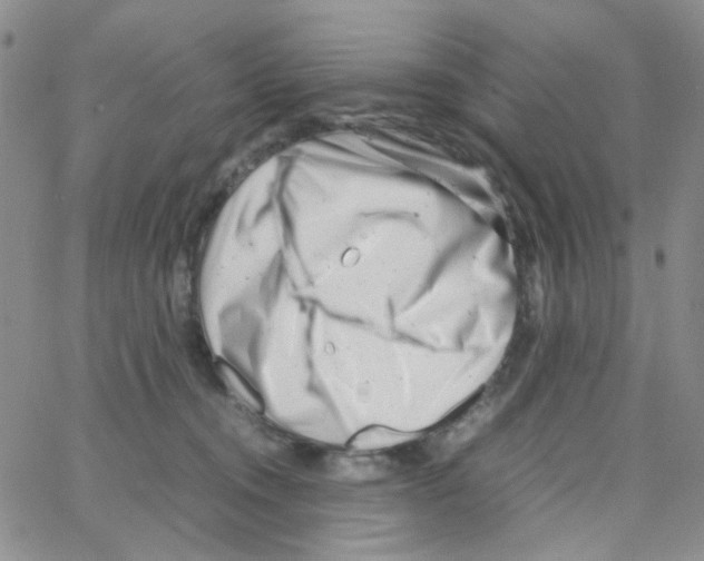 X0000064750372200603131349