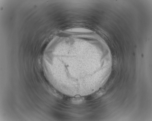 X0000064750373200603131349