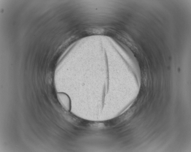 X0000064750374200603131349