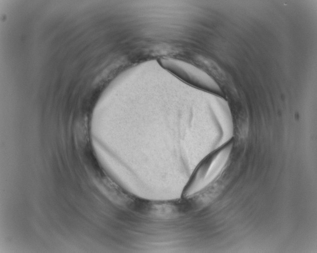 X0000064750376200603131349