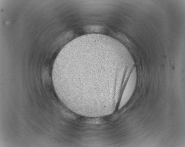 X0000064750377200603131349