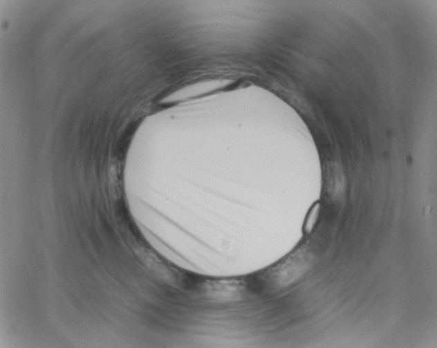 X0000064750378200603131349