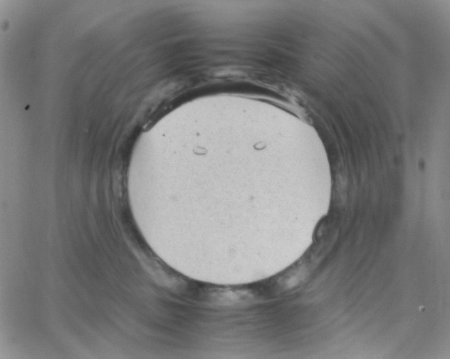 X0000064750379200603131349