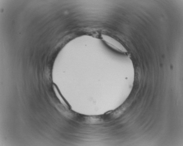 X0000064750380200603131349