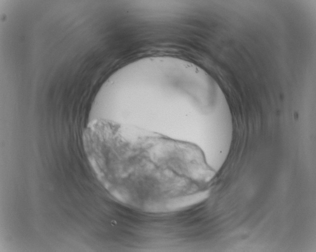 X0000064750381200603131349