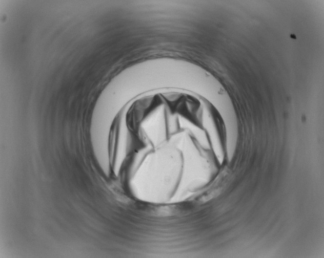 X0000064750382200603131349