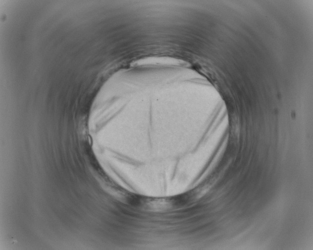 X0000064750383200603131350