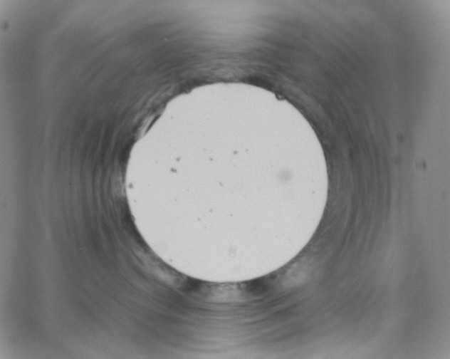 X0000064750384200603131350