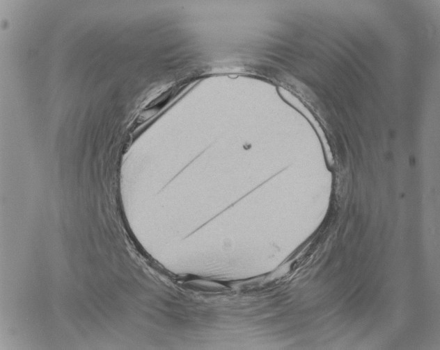 X0000064750385200603131349