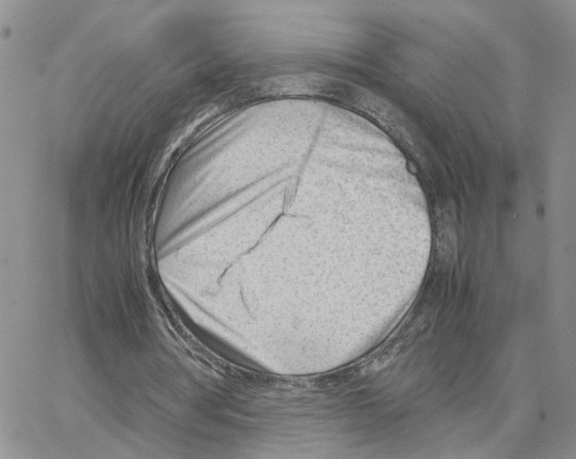 X0000064750386200603131349