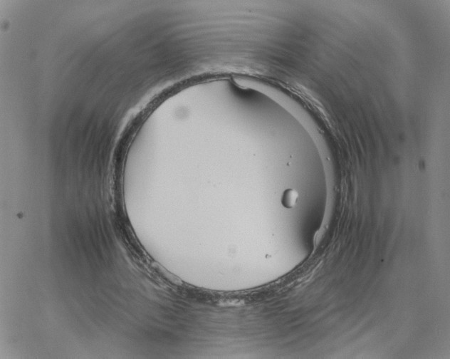 X0000064750388200603131349