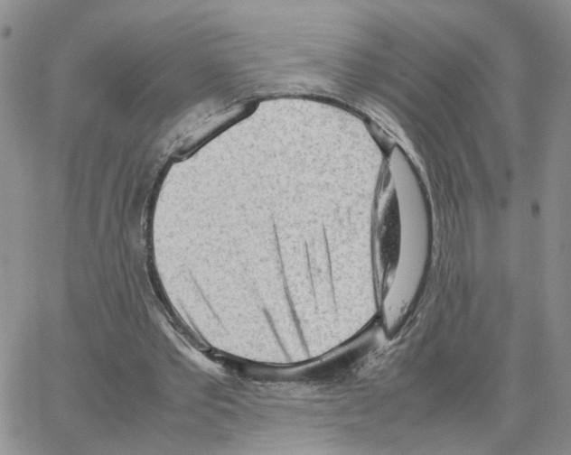 X0000064750389200603131349