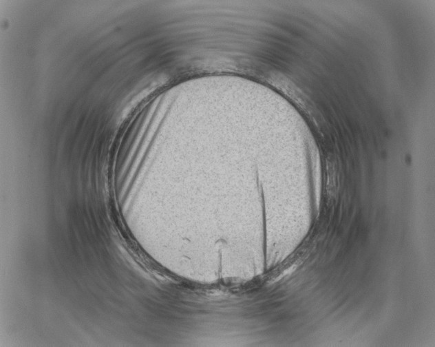 X0000064750390200603131349