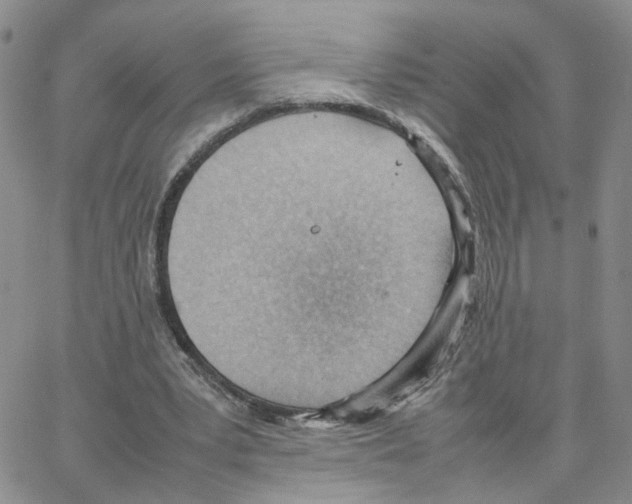 X0000064750391200603131349