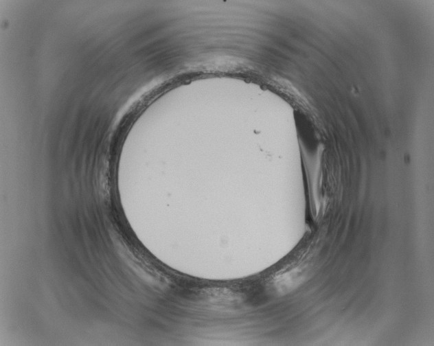 X0000064750392200603131349