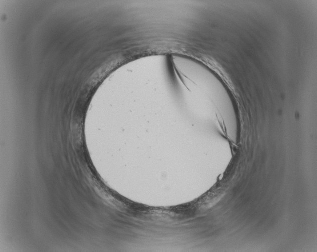 X0000064750393200603131349