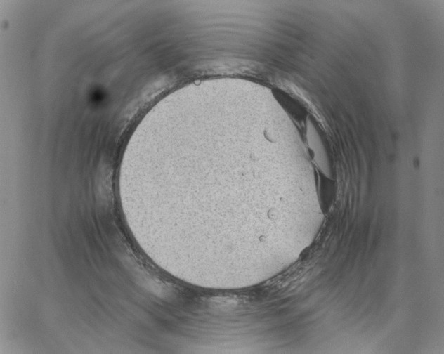 X0000064750394200603131349