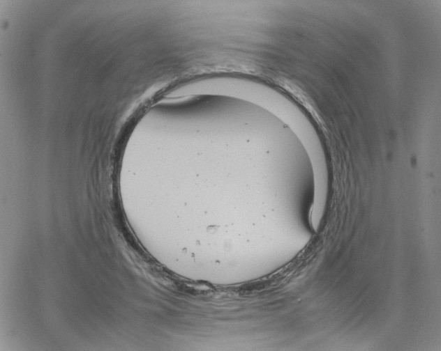 X0000064750395200603131349