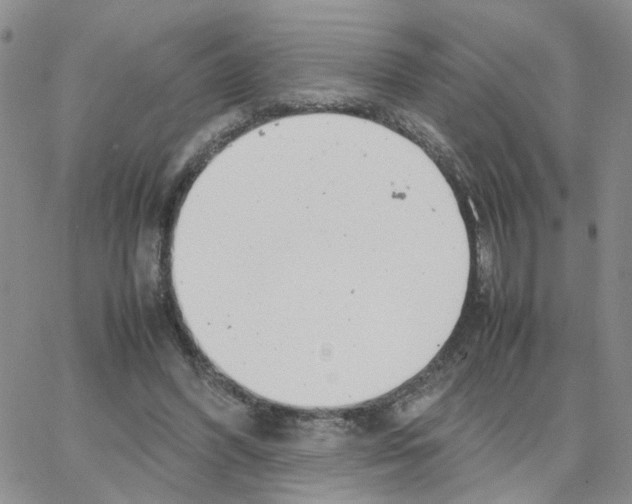 X0000064750396200603131349