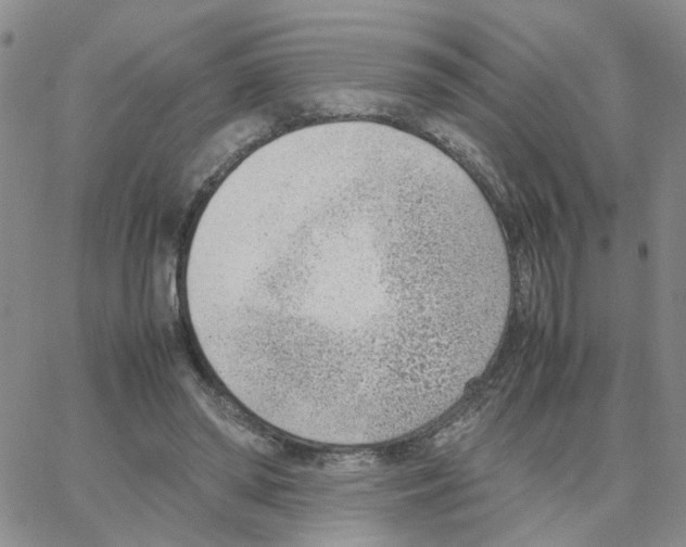 X0000064750398200603131349