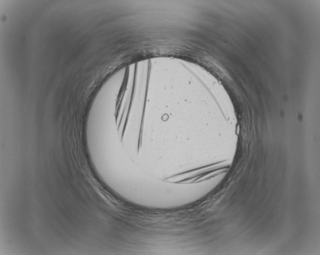 X0000064750401200603131348