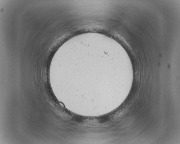 X0000064750403200603131348