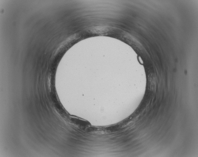 X0000064750404200603131348