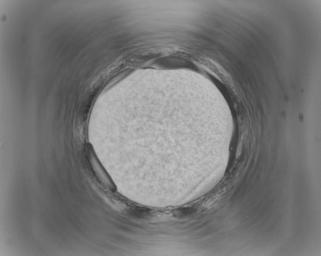 X0000064750405200603131348