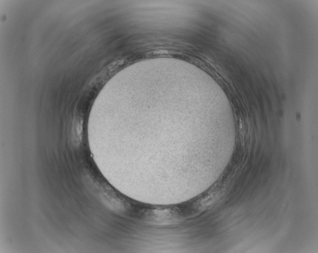 X0000064750406200603131348