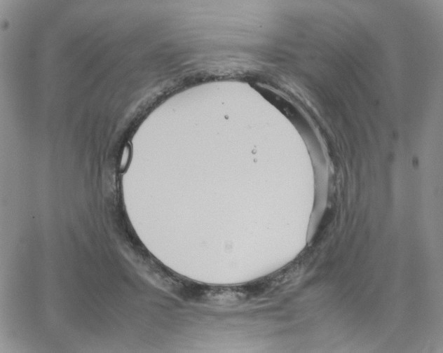 X0000064750407200603131348