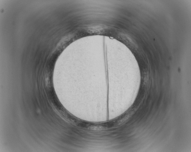 X0000064750408200603131348