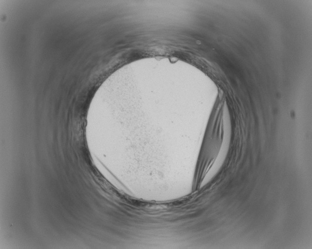 X0000064750409200603131348