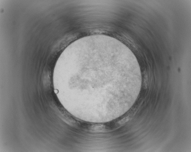 X0000064750410200603131348