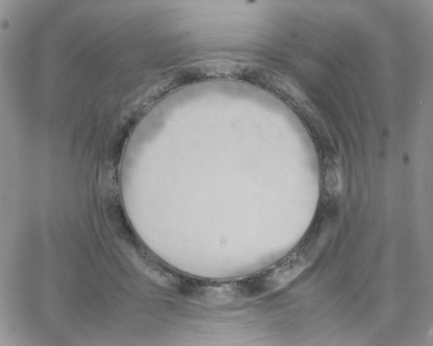 X0000064750411200603131348