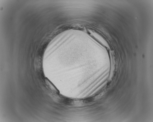 X0000064750413200603131348