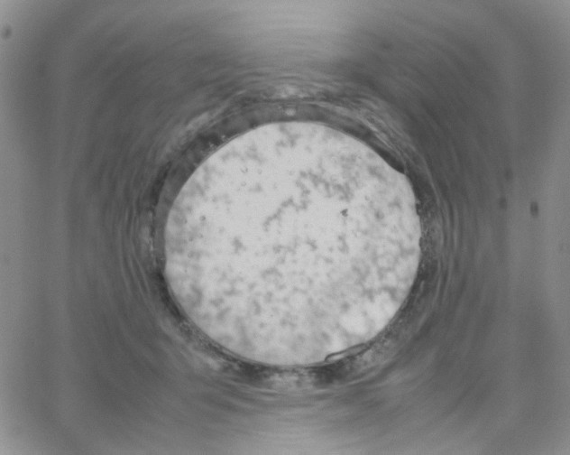 X0000064750415200603131348