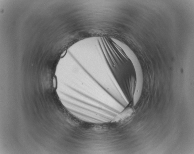 X0000064750416200603131348