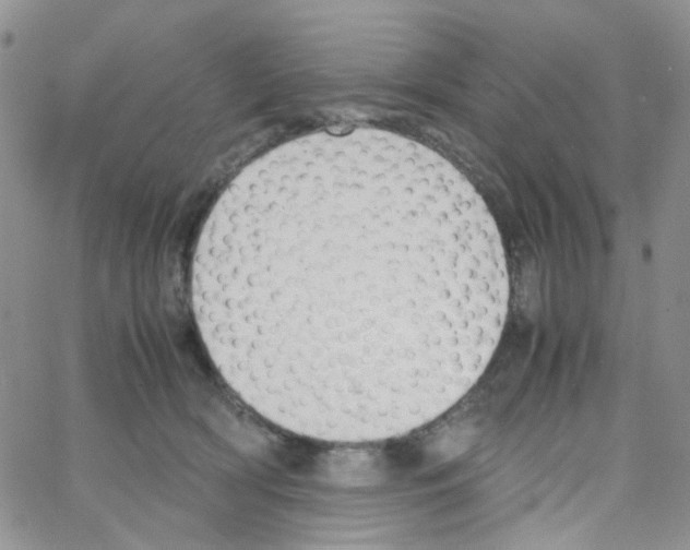 X0000064750418200603131348