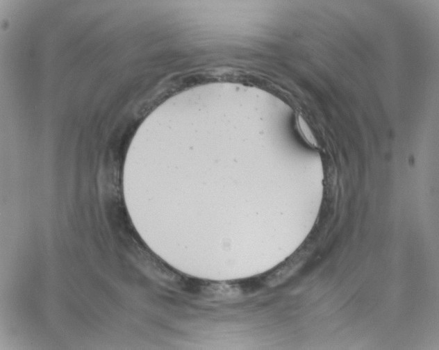 X0000064750421200603131348