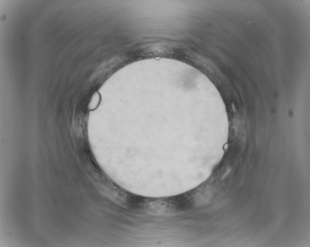 X0000064750423200603131348