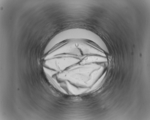 X0000064750424200603131348