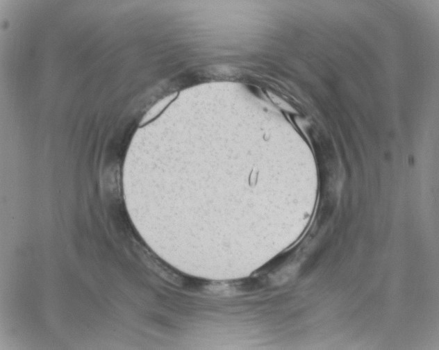 X0000064750425200603131348