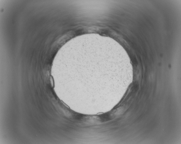 X0000064750427200603131348