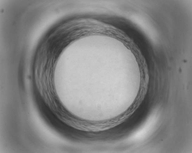 X0000064750431200603131348