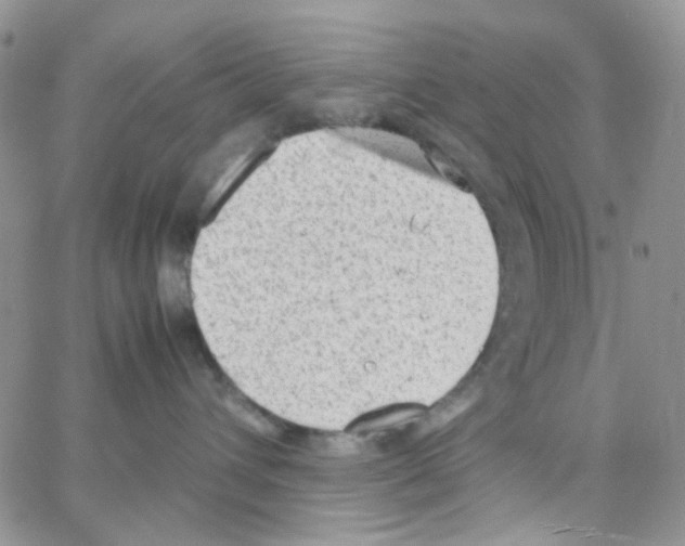 X0000064750432200603131348