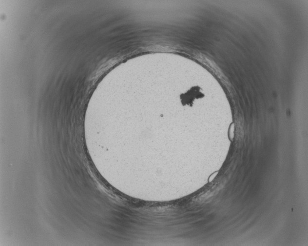 X0000064750433200603131347