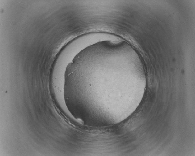 X0000064750434200603131347