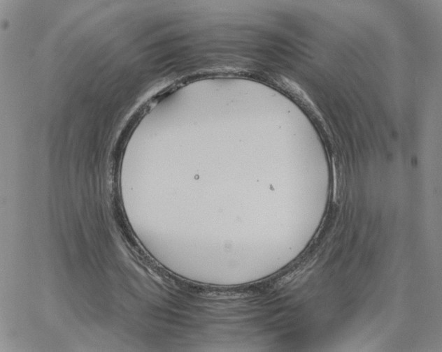 X0000064750435200603131347